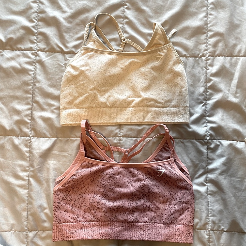 2 gym shark sports bras